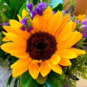 Meet your Posher, Ella